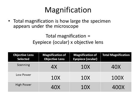 total magnification microscope definition.